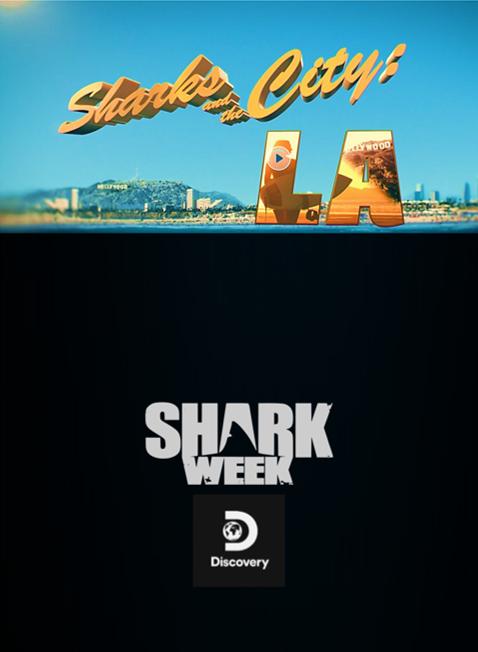 Sharks and the City: LA