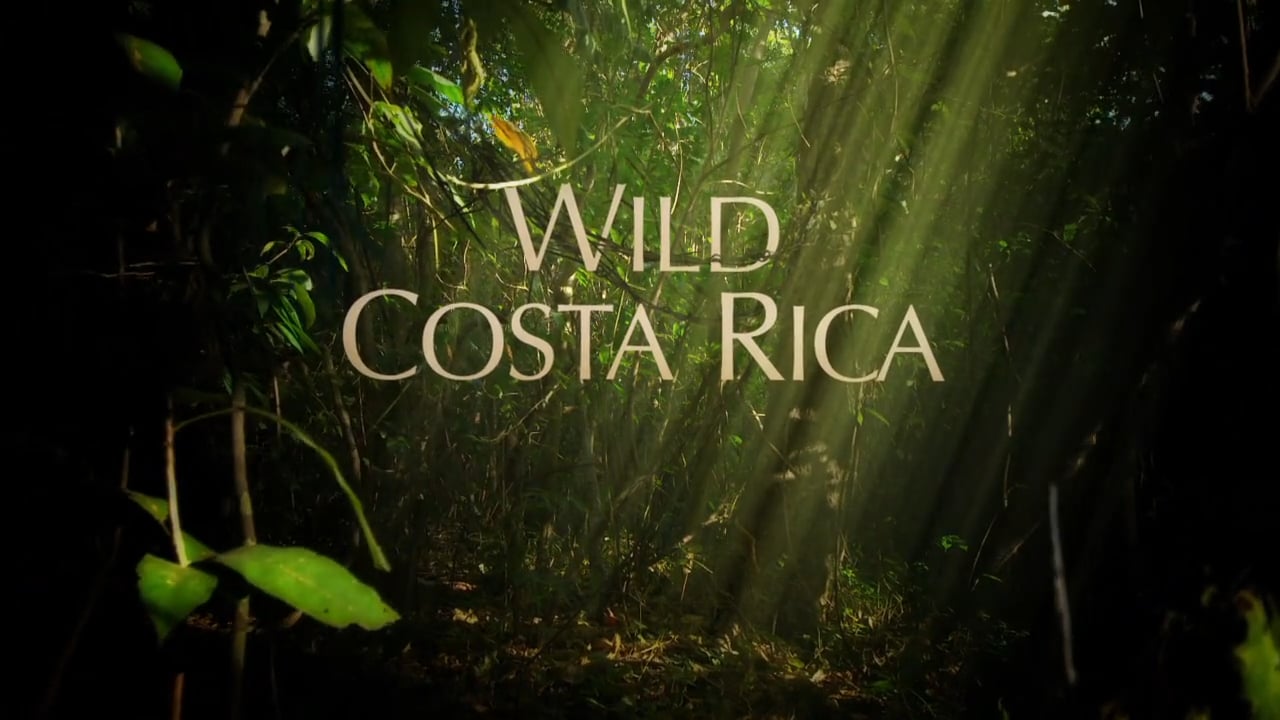 Wild Costa Rica