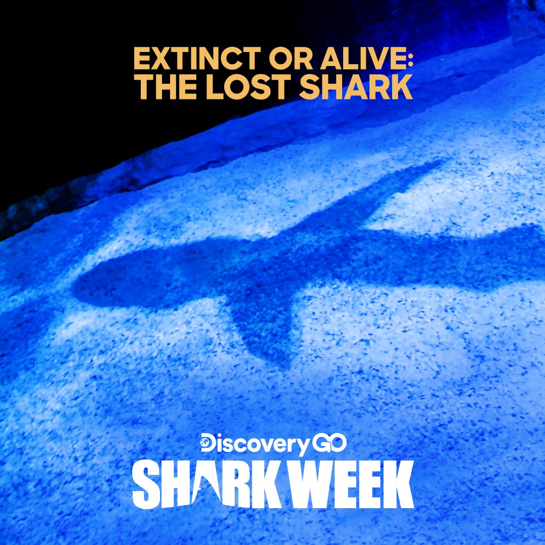Extinct or Alive: The Lost Shark