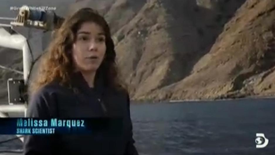 Great White Kill Zone: Guadalupe