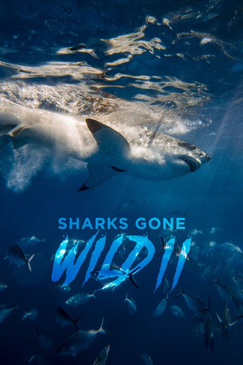 Sharks Gone Wild 2