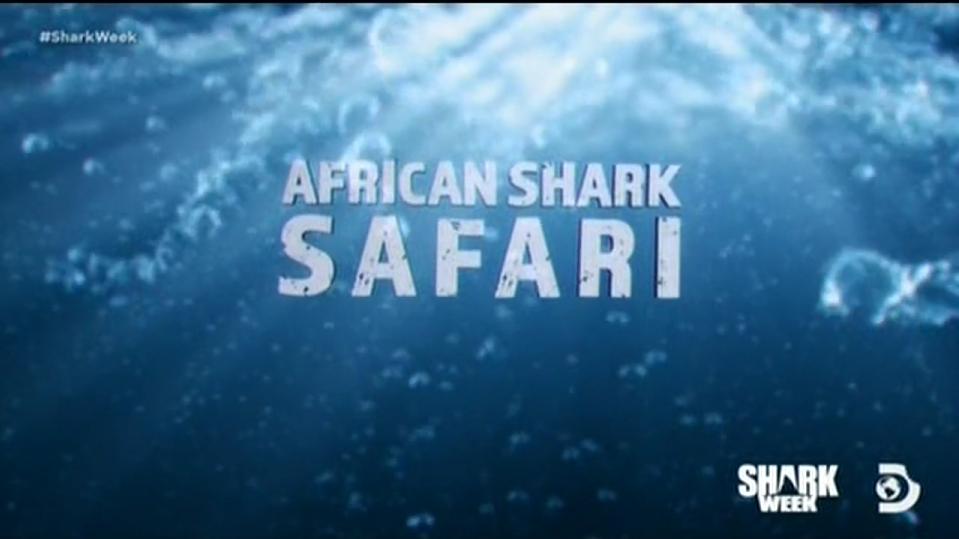 African Shark Safari