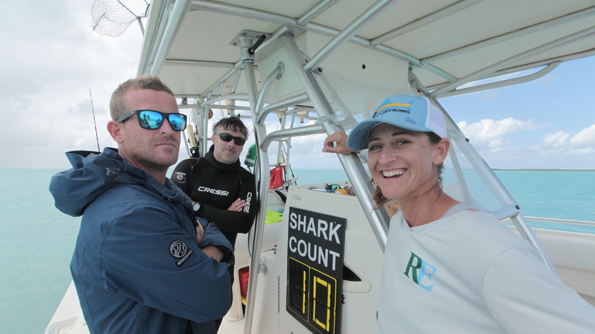 Sharks of Ghost Island