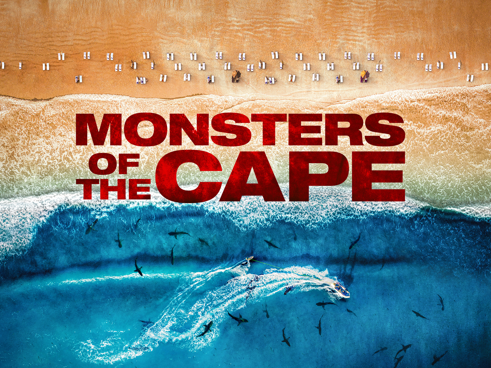 Monsters of the Cape
