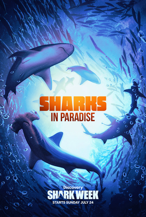 Sharks in Paradise
