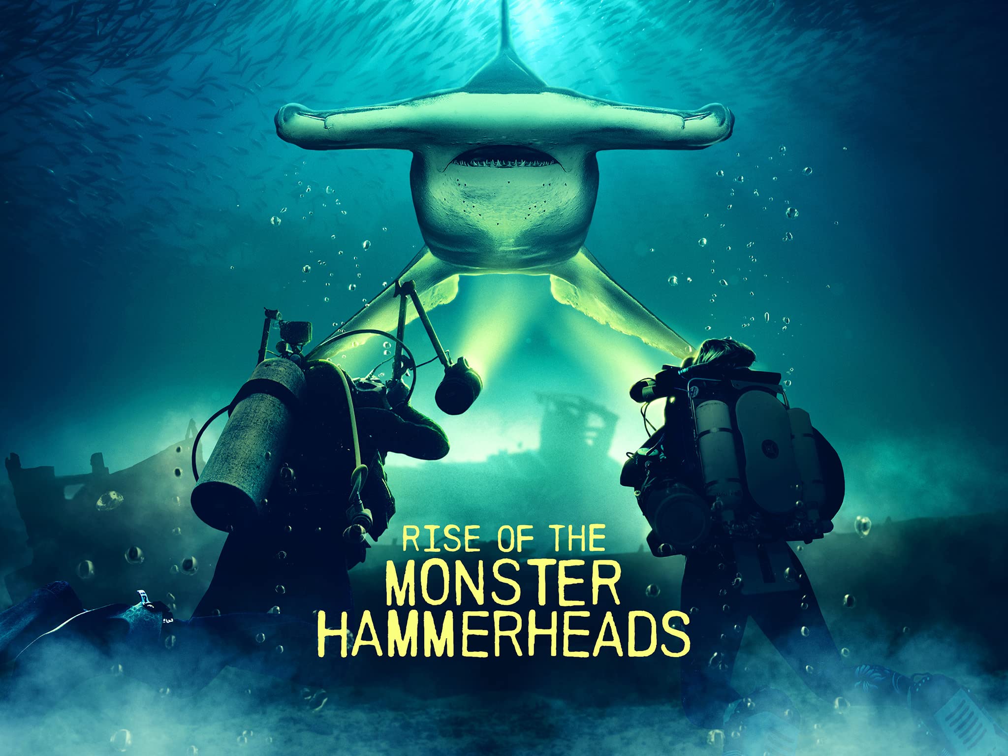 Rise of the Monster Hammerheads