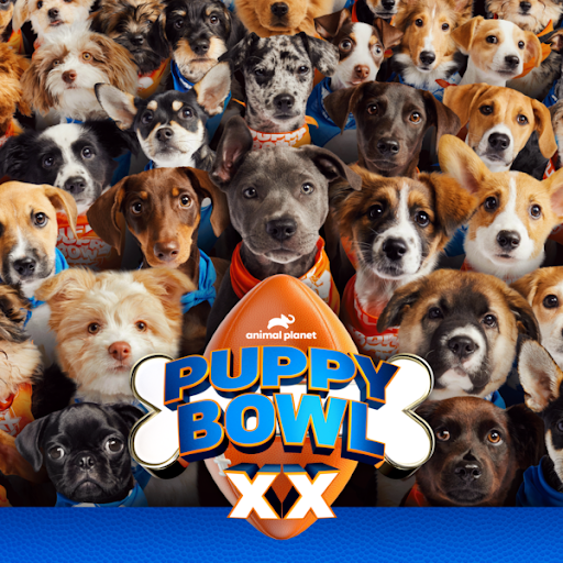 Puppy Bowl Presents: 20 Years of Puppies
