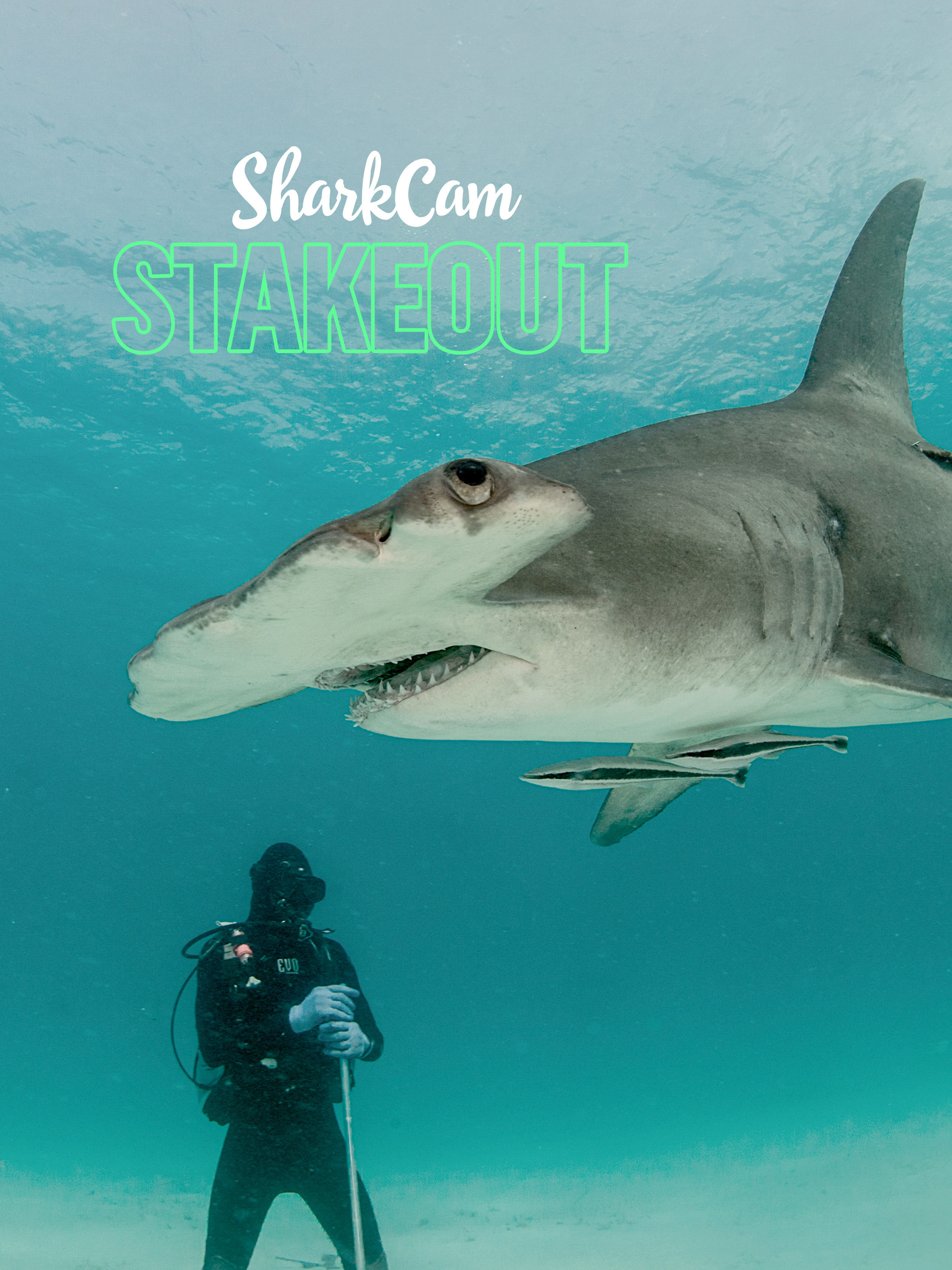 SharkCam Stakeout