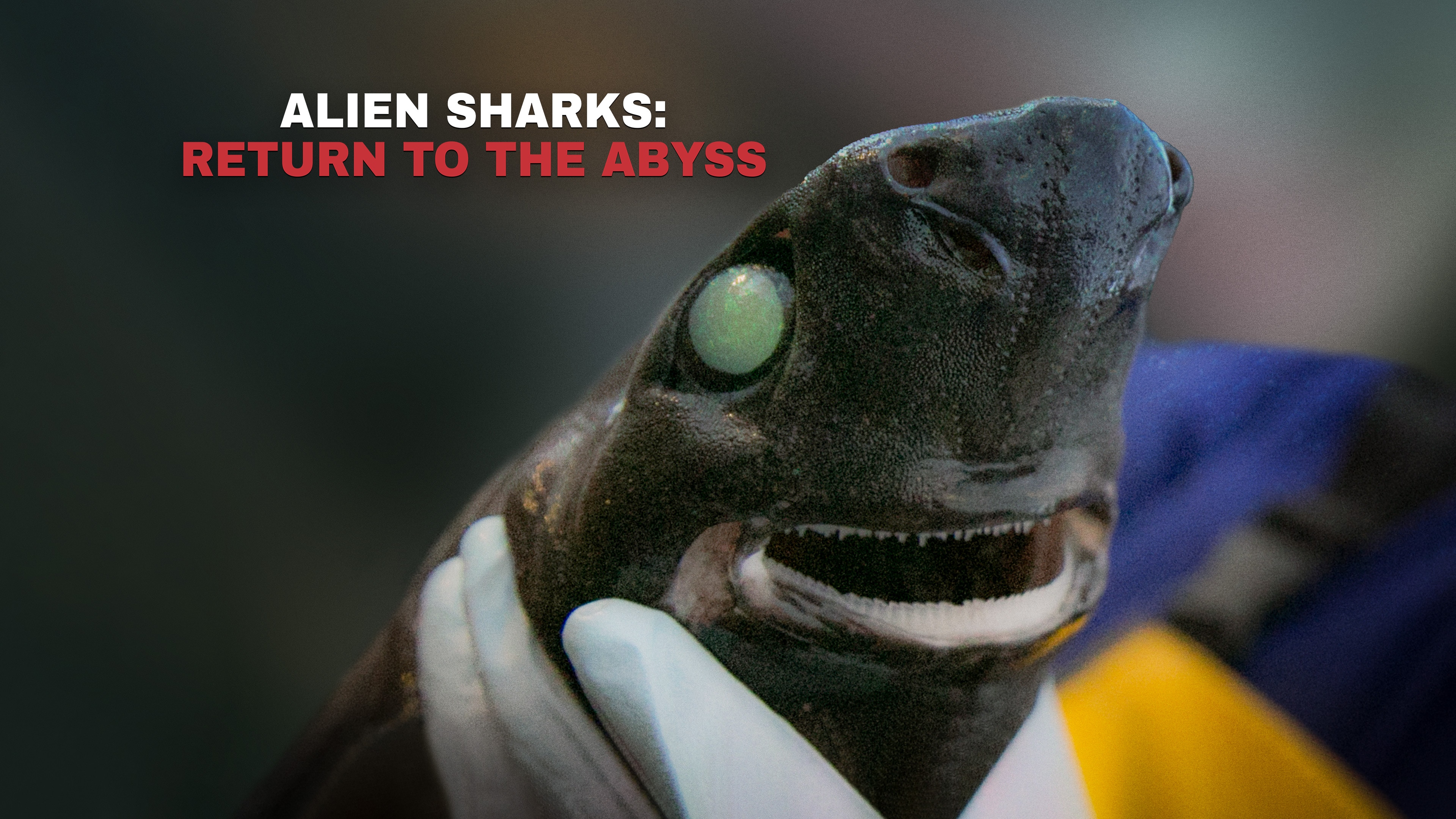 Alien Sharks II: Return to the Abyss