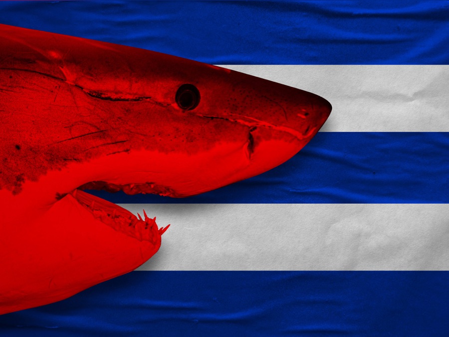 Tiburones: The Sharks of Cuba