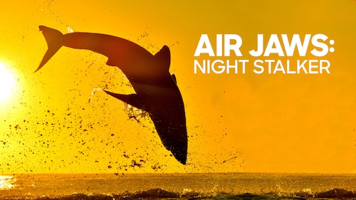 Air Jaws: Night Stalker