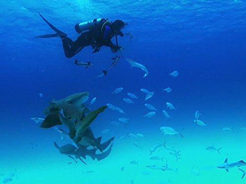 Shallow Water Invasion