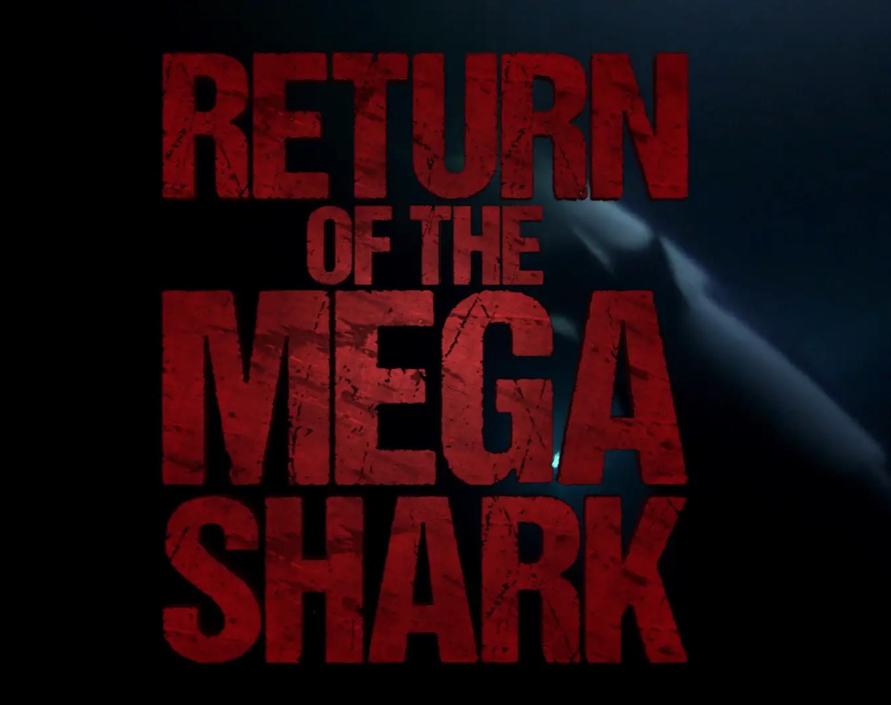 Return of the Mega Shark