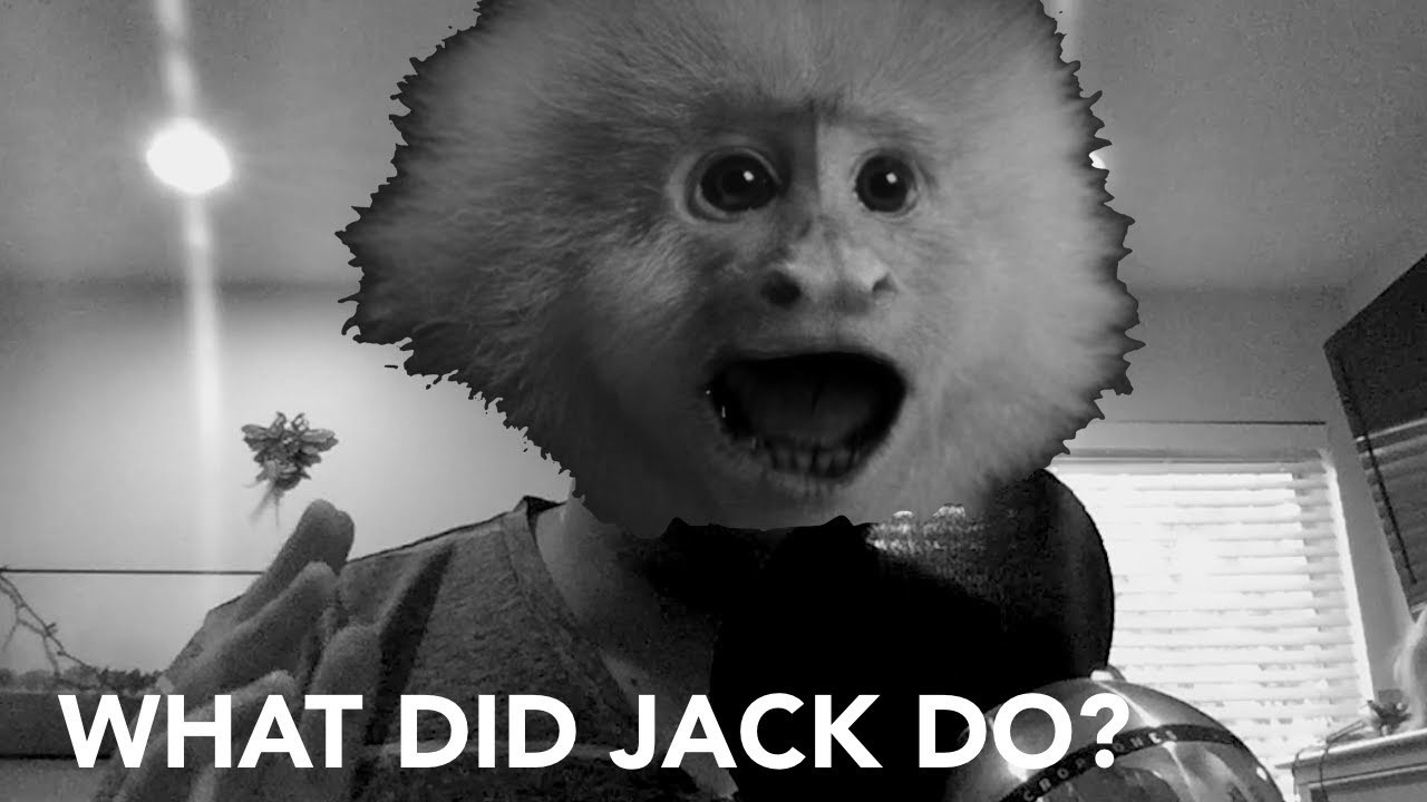 What Did Jack Do? (2017)