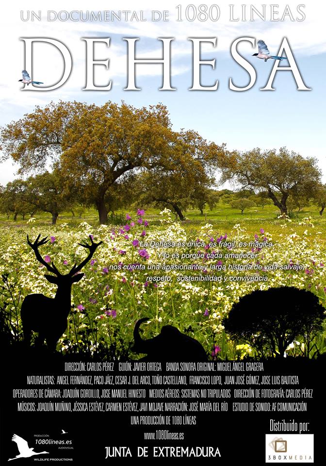 Dehesa - L'harmonie ibérique