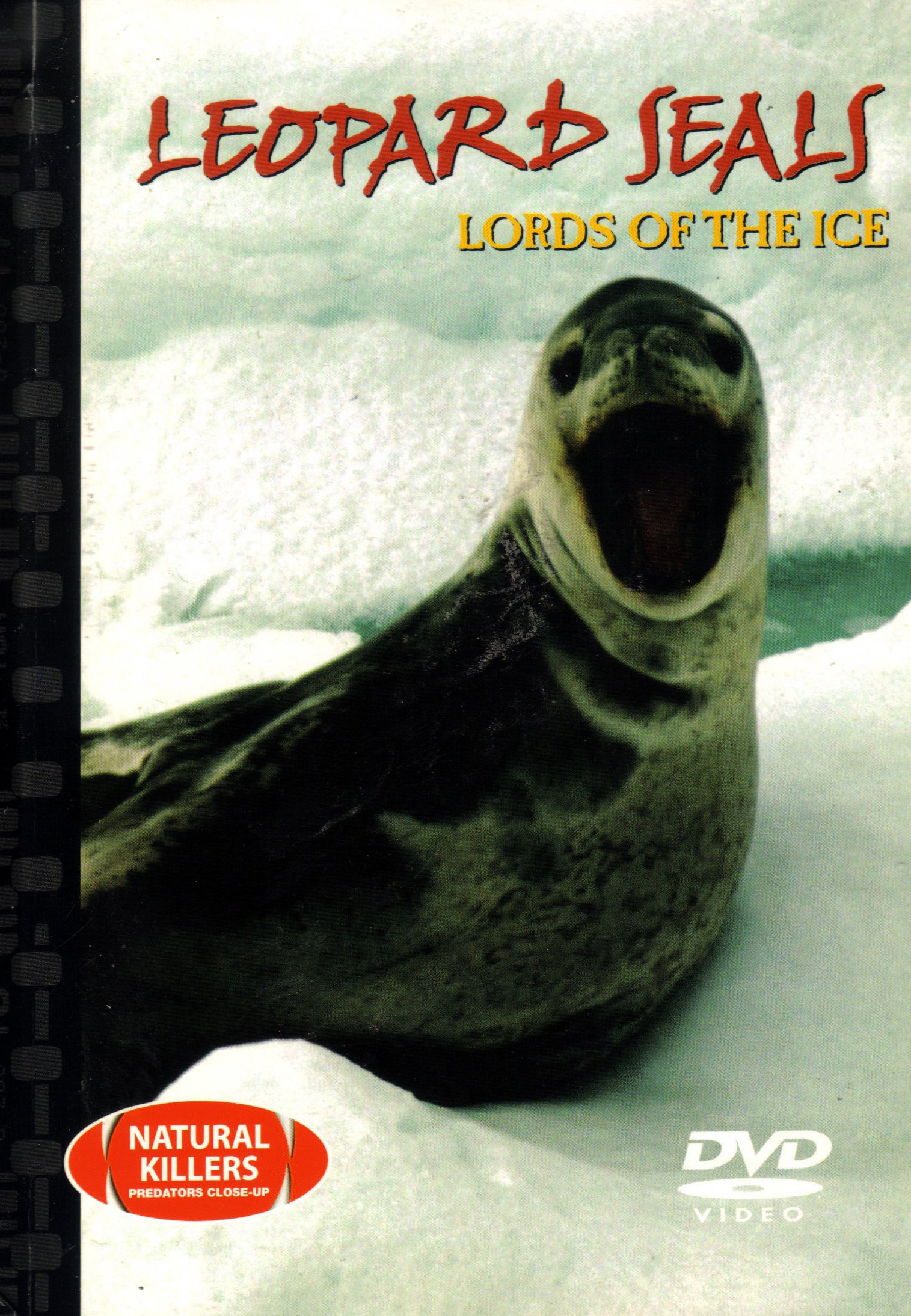Leopard Seals: Lords of the Ice
