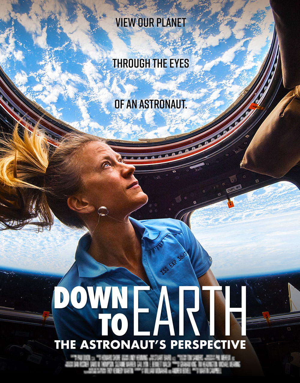 Down to Earth - The Astronaut's Perspective