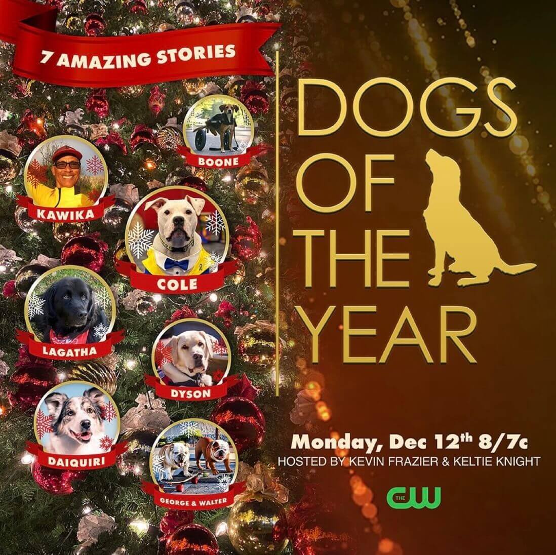 Dogs of the Year 2022