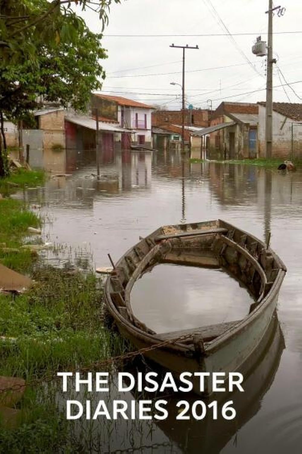 2016 the Disaster Diaries